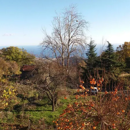 Peppin, Private House In Natural Paradise بيت للعطل سانريمو